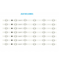 AGF30110801
